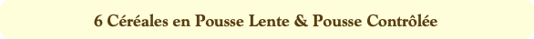 6 Céréales en Pousse Lente & Pousse Contrôlée