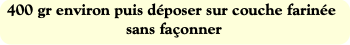 400 gr environ puis déposer sur couche farinée san