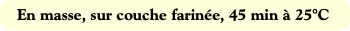 En masse, sur couche farinée, 45 min à 25°C