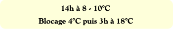 14h à 8 - 10°C
Blocage 4°C puis 3h à 18°C