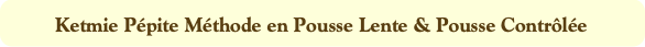 Ketmie Pépite Méthode en Pousse Lente & Pousse Con